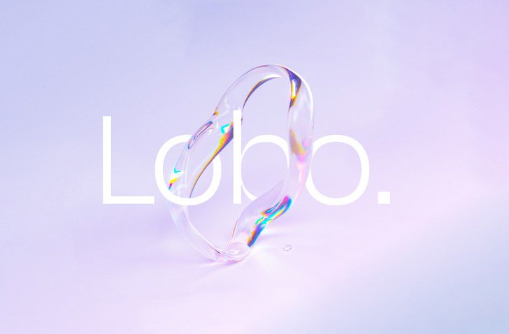Lobo Visuals brand render